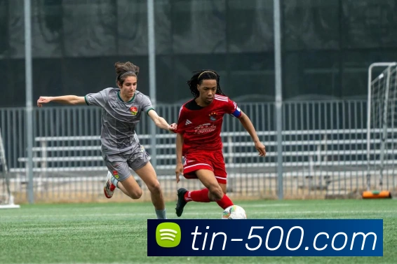 500彩票网官方发展历程